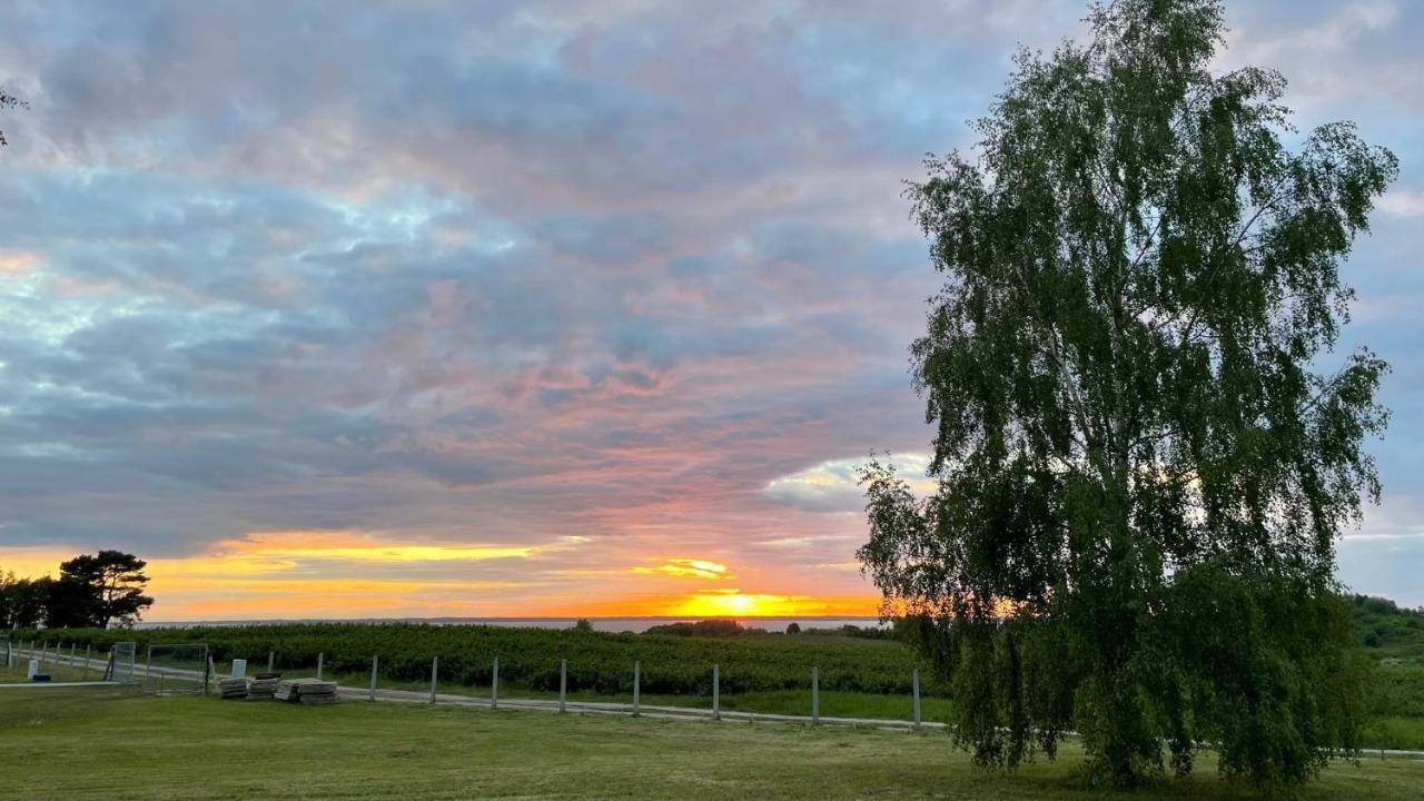 Domki Letniskowe Mts Sloneczne Wzgorze Tolkmicko Exterior foto